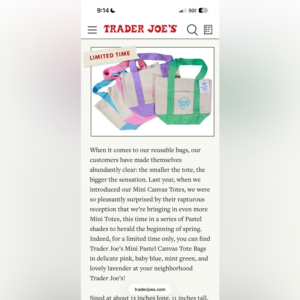 Trader Joe’s mini tote PINK